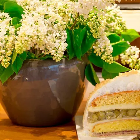 Schloss Ranzow - Kleines Romantik - Wellness - Golfplatz - Hochzeiten & Feiern Hotel 4*